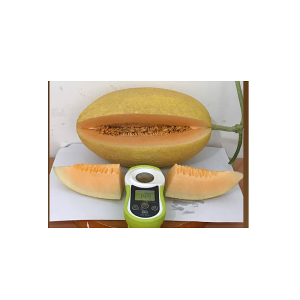 Khúc xạ kế đo độ ngọt trái cây SCM-1000